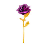 https://velizo.sk/termekkategoria/szepsegapolas-egeszseg/