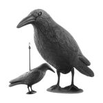 https://velizo.sk/termekkategoria/szepsegapolas-egeszseg/