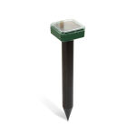 https://velizo.sk/termekkategoria/szepsegapolas-egeszseg/