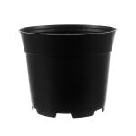 https://velizo.sk/termekkategoria/szepsegapolas-egeszseg/