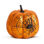 https://velizo.sk/termekkategoria/szepsegapolas-egeszseg/