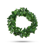 https://velizo.sk/termekkategoria/szepsegapolas-egeszseg/