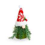 https://velizo.sk/termekkategoria/szepsegapolas-egeszseg/