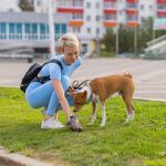 https://velizo.sk/termekkategoria/szepsegapolas-egeszseg/