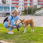 https://velizo.sk/termekkategoria/szepsegapolas-egeszseg/