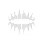 https://velizo.sk/termekkategoria/szepsegapolas-egeszseg/