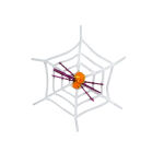 https://velizo.sk/termekkategoria/szepsegapolas-egeszseg/