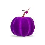 https://velizo.sk/termekkategoria/szepsegapolas-egeszseg/