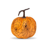 https://velizo.sk/termekkategoria/szepsegapolas-egeszseg/
