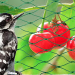 https://velizo.sk/termekkategoria/szepsegapolas-egeszseg/