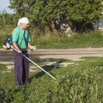 https://velizo.sk/termekkategoria/szepsegapolas-egeszseg/