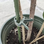 https://velizo.sk/termekkategoria/szepsegapolas-egeszseg/