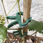 https://velizo.sk/termekkategoria/szepsegapolas-egeszseg/