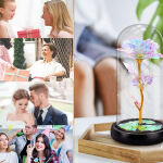 https://velizo.sk/termekkategoria/szepsegapolas-egeszseg/