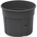 https://velizo.sk/termekkategoria/szepsegapolas-egeszseg/