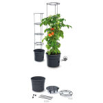 https://velizo.sk/termekkategoria/szepsegapolas-egeszseg/