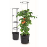 https://velizo.sk/termekkategoria/szepsegapolas-egeszseg/