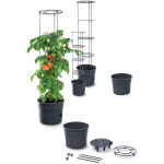 https://velizo.sk/termekkategoria/szepsegapolas-egeszseg/
