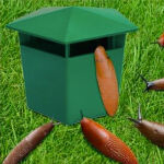 https://velizo.sk/termekkategoria/szepsegapolas-egeszseg/