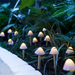 https://velizo.sk/termekkategoria/szepsegapolas-egeszseg/