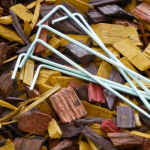 https://velizo.sk/termekkategoria/szepsegapolas-egeszseg/
